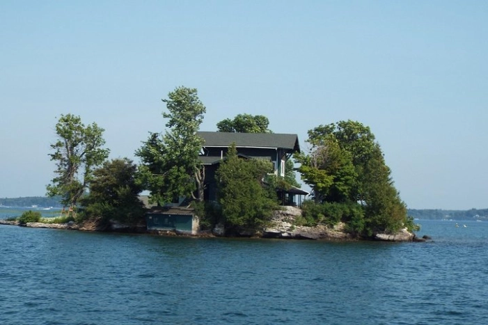 Image 4