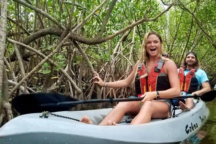 Mangrove Tunnels, Dolphins, Manatee Tour #1 Rated in Cocoa Beach