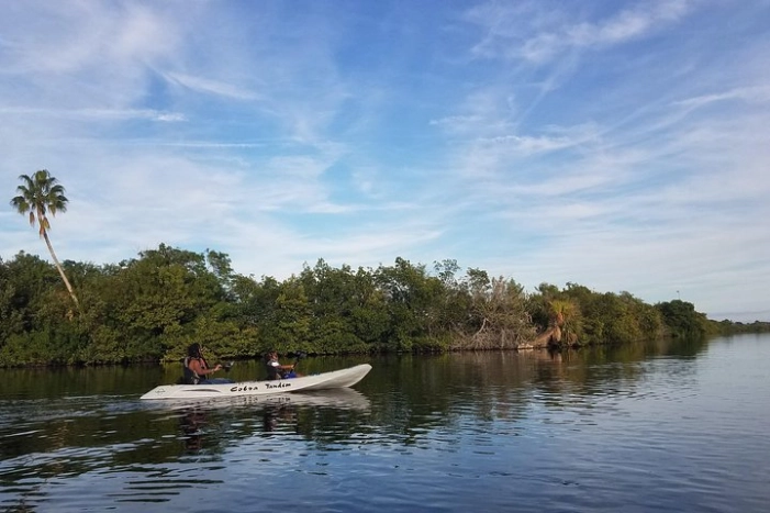 Image 12