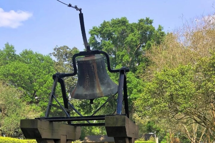 Image 6