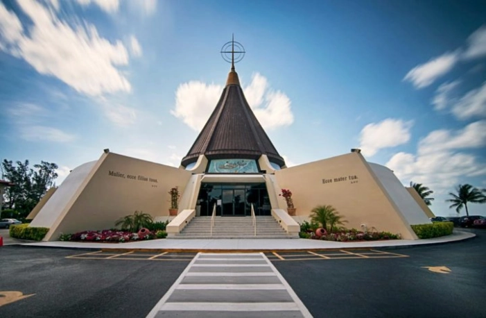Image 5