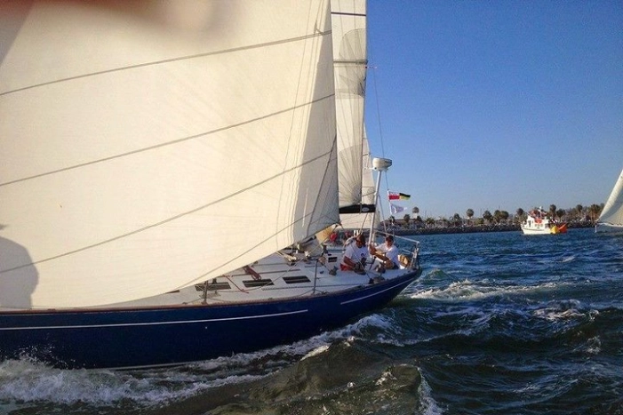 Image 15