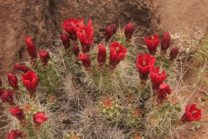 Image 7