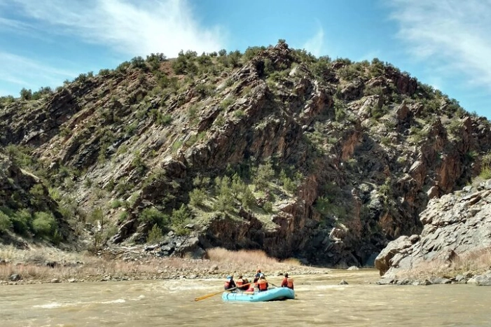 Image 6