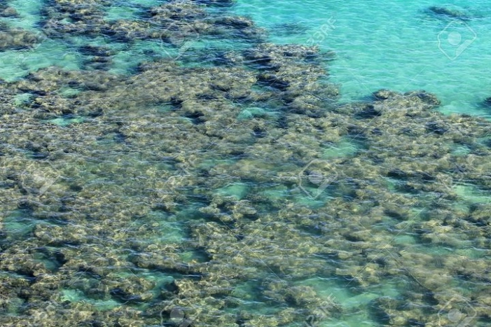 Image 13