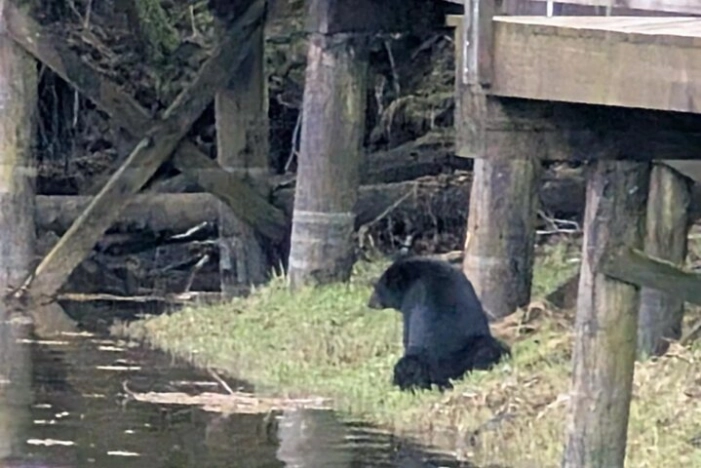 Image 6
