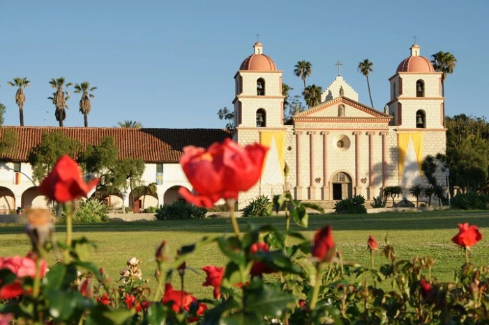 Image 19