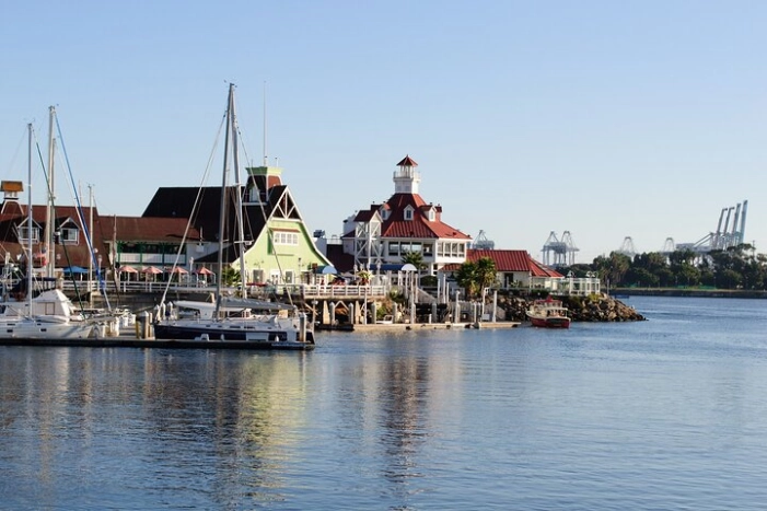 Image 10