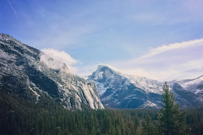 Image 14