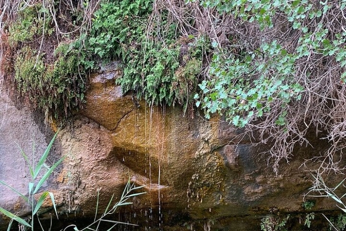 Image 15