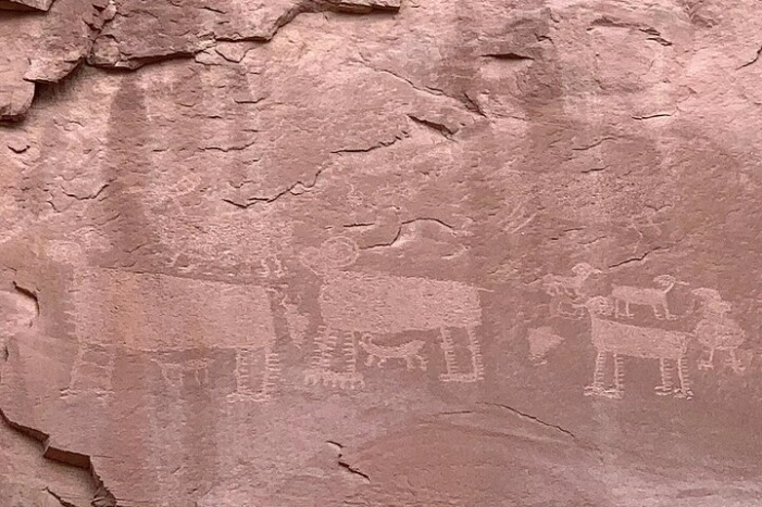 Image 16