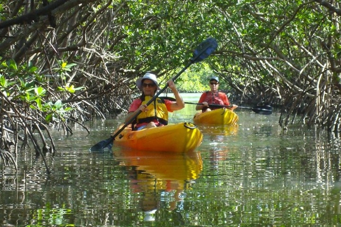 Image 6