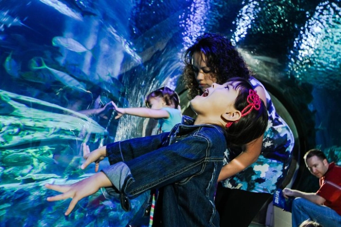 SEA LIFE Kansas City Aquarium Admission Ticket