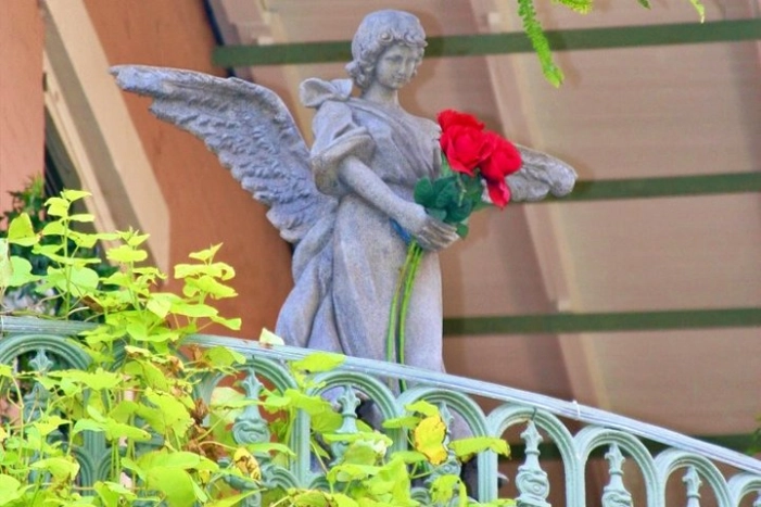 Image 11