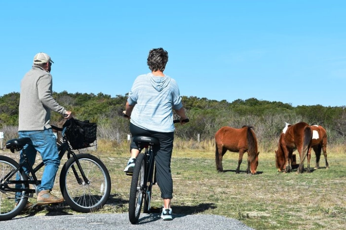 Bicycle Rental from Visitor Center location at Assateague, MD