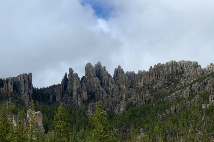 Image 8
