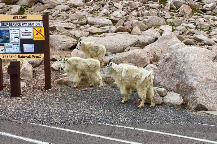 Image 9