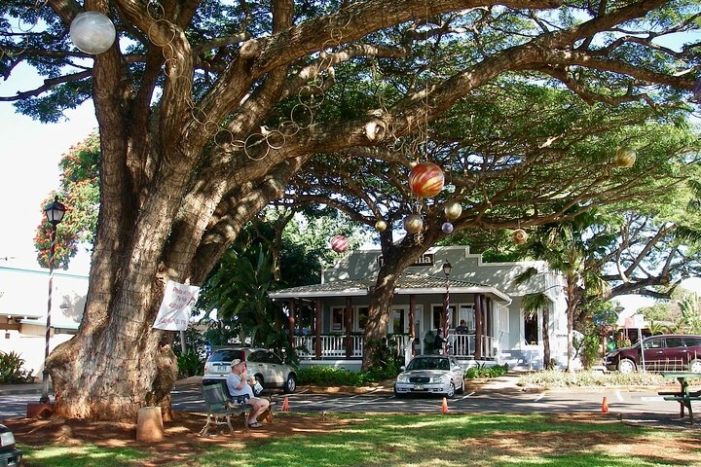 Image 6