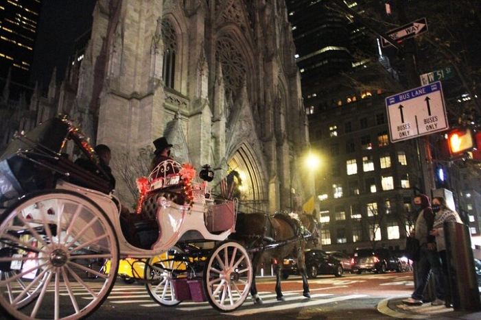 Magical Evening Horse-Drawn Carriage through NYC (65 min)