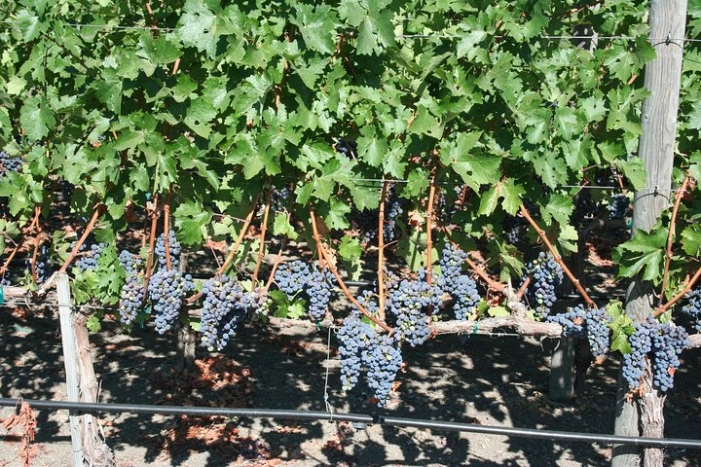 Image 12