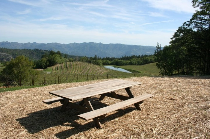 Image 14