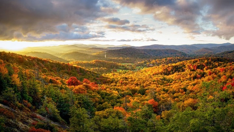 Private Waterfall and Blue Ridge Parkway Tour with a Naturalist 