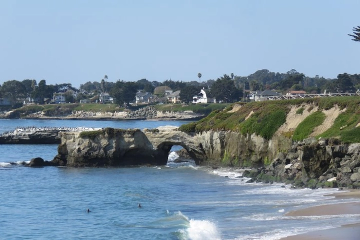 Image 13