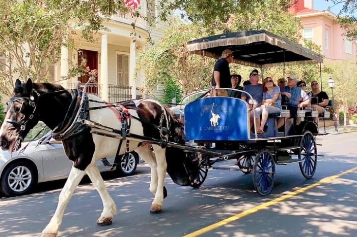 Charleston Horse & Carriage Historic Sightseeing Tour