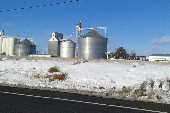 Image 3