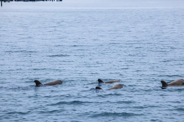 Image 18