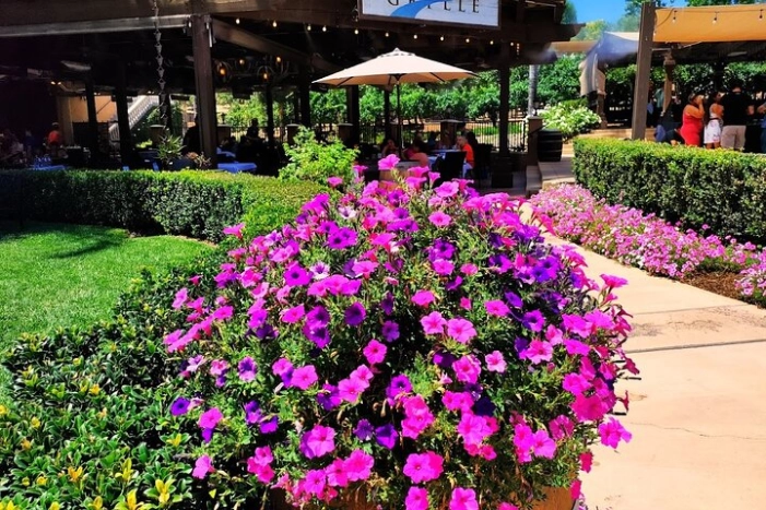 Temecula Wine Tour from Los Angeles