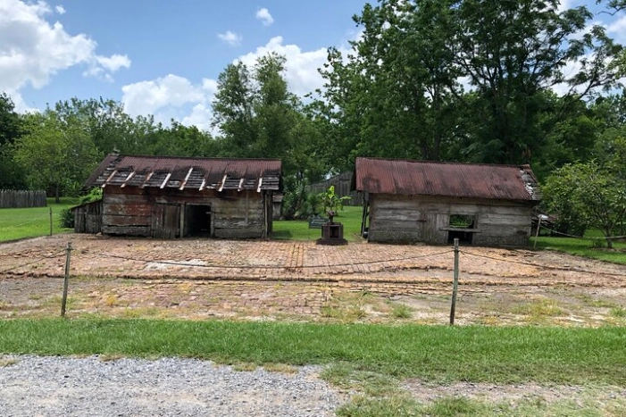 Image 12