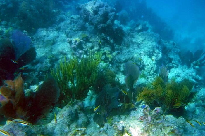 Image 7
