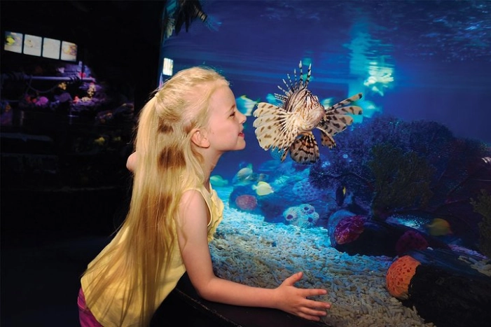 SEA LIFE San Antonio Admission Ticket