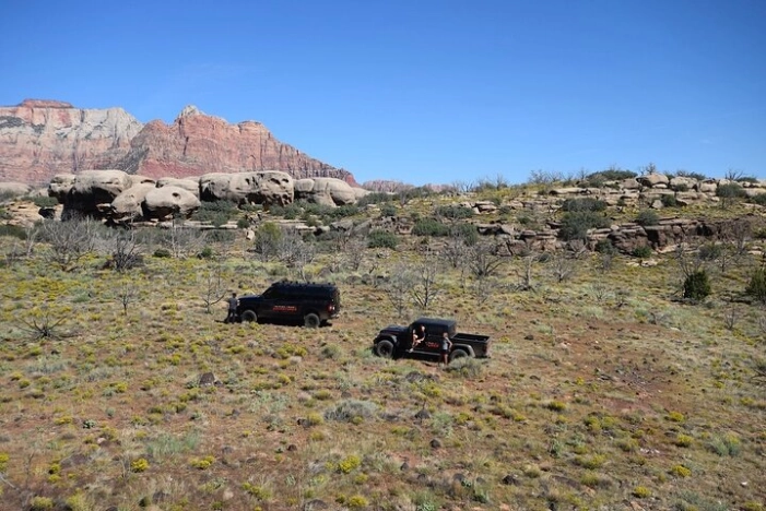 Image 7