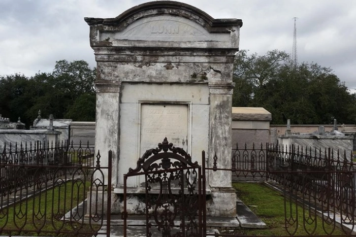 Image 6