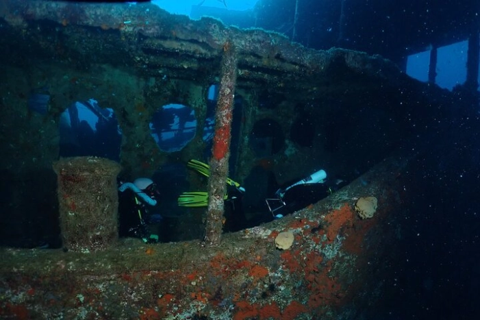 Image 2
