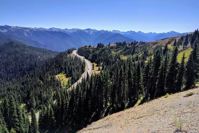Olympic National Park Luxury Small-Group Day Tour with Lunch