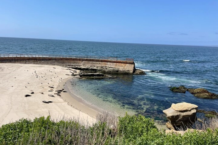 Image 6