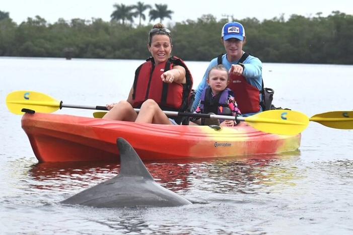Mangrove Tunnels Kayak Tour (Photographer Included)- Marco Island