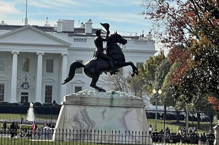 Image 37