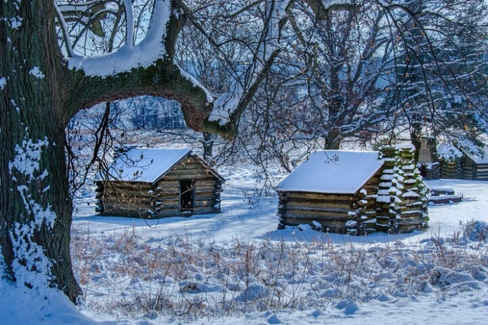 Image 5