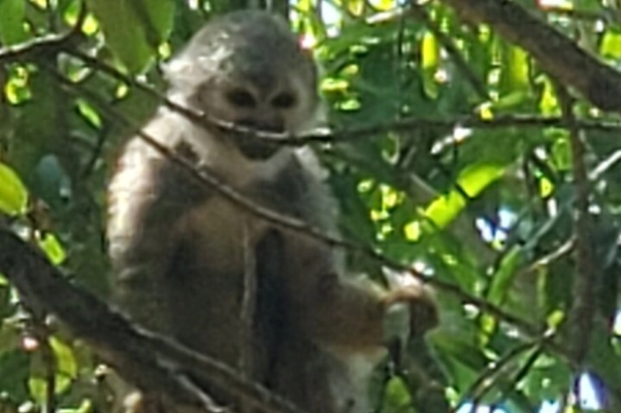 Image 10
