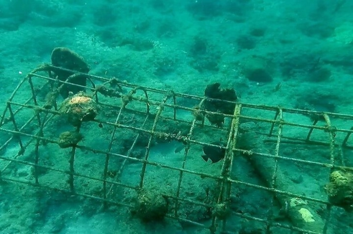 Image 12