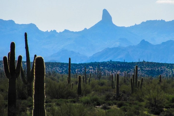 Wilderness Hiking Tours