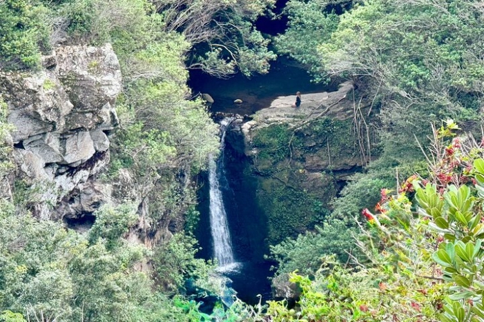 Image 12