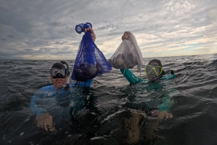 Half-Day Semi Private Scallop Tour