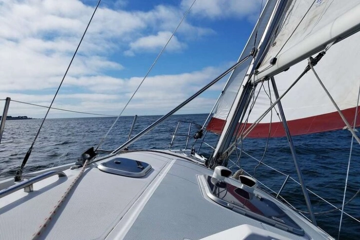Image 8