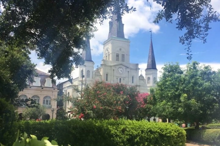 Image 19
