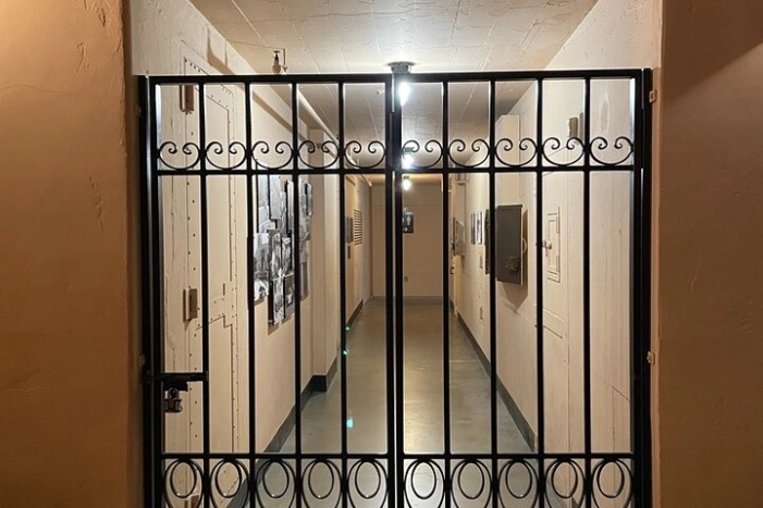 Image 4
